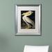 Trademark Fine Art 'American White Pelican' Framed Painting Print on Canvas Canvas, Wood | 14 H x 11 W x 0.5 D in | Wayfair BL01258-S1114MF