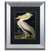 Trademark Fine Art 'American White Pelican' Framed Painting Print on Canvas Canvas, Wood | 14 H x 11 W x 0.5 D in | Wayfair BL01258-S1114BMF