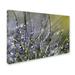 Trademark Fine Art 'Spring Morning' Photographic Print on Canvas Canvas | 16 H x 24 W in | Wayfair BC0276-C1624GG