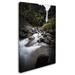 Trademark Fine Art Philippe Sainte-Laudy 'Double Falls' Photographic Print on Wrapped Canvas in White | 47 H x 30 W x 2 D in | Wayfair