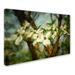 Trademark Fine Art 'Painted Dogwood' Lois Bryan Painting Print on Wrapped Canvas Metal in Green | 22 H x 32 W x 2 D in | Wayfair LBR0315-C2232GG