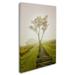 Trademark Fine Art Calming Morning Photographic Print on Wrapped Canvas in Metal in Green | 32 H x 22 W x 2 D in | Wayfair MFG0010-C2232GG