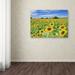 Trademark Fine Art 'Field of Yellow' Photographic Print on Wrapped Canvas Canvas | 14 H x 19 W x 2 D in | Wayfair ALI3928-C1419GG