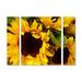 Trademark Fine Art 'Sunflowers' by Amy Vangsgard 3 Piece Painting Print on Wrapped Canvas Set Canvas | 30 H x 41 W x 2 D in | Wayfair