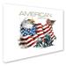 Trademark Fine Art 'American Patriot' Print on Canvas in White/Black | 35 H x 47 W x 2 D in | Wayfair ALI8604-C3547GG