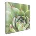 Trademark Fine Art 'Garden Succulents III Color' Photographic Print on Wrapped Canvas Canvas | 14 H x 14 W x 2 D in | Wayfair WAP01289-C1414GG