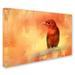 Trademark Fine Art 'Summer Red' Graphic Art Print on Wrapped Canvas in White | 30 H x 47 W x 2 D in | Wayfair ALI14921-C3047GG