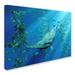 Trademark Fine Art 'Hammerhead Art' Graphic Art Print on Wrapped Canvas Canvas | 18 H x 24 W x 2 D in | Wayfair ALI12960-C1824GG