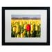 Trademark Fine Art 'Red Tulip' by Pierre Leclerc Framed Photographic Print Canvas | 16 H x 20 W x 0.5 D in | Wayfair PL0138-B1620MF