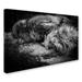 Trademark Fine Art 'Sleeping' Photographic Print on Wrapped Canvas in Black/White | 16 H x 24 W x 2 D in | Wayfair 1X00349-C1624GG