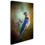 Trademark Fine Art 'Portrait of a Bluebird' Graphic Art Print on Wrapped Canvas Metal | 32 H x 22 W x 2 D in | Wayfair ALI14890-C2232GG