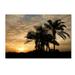Trademark Fine Art 'Sunrise Experinemt' Photographic Print on Wrapped Canvas Canvas | 16 H x 24 W x 2 D in | Wayfair ALI17877-C1624GG
