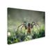 Trademark Fine Art 'I am Back to You' Photographic Print on Wrapped Canvas Canvas | 18 H x 24 W x 2 D in | Wayfair 1X02845-C1824GG