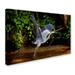 Trademark Fine Art 'Large Bird' Photographic Print on Wrapped Canvas Canvas | 12 H x 19 W x 2 D in | Wayfair ALI19400-C1219GG