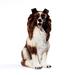 Intrada Italy Dog Collie Statue Porcelain/Ceramic in Brown/White | 20.5 H x 11 W x 14 D in | Wayfair ANI2306