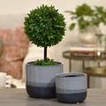 Ivy Bronx Shira 2-Piece Stoneware Round Pot Planter Set Stone in Gray | 5.25 H x 5.75 W x 5.75 D in | Wayfair IVBX6588 45143441