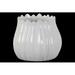 Ivy Bronx Zina Ceramic Pot Planter Ceramic | 5.75 H x 6.75 W x 6.75 D in | Wayfair IVBX6642 45143530