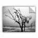 ArtWall ArtApeelz Hanging On by Steve Ainsworth Photographic Print on Canvas in Black/White | 14 H x 18 W x 0.1 D in | Wayfair 0ain015a1418p