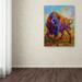 Latitude Run® Bison Bull 1 by Marion Rose - Print on Canvas in Blue/Orange | 24 H x 18 W x 2 D in | Wayfair LRUN3268 39246171