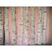 Latitude Run® Destefano 'Birch Logs on Pink' by Graffitee Studios Photographic Print on Canvas in Green/Pink | 18 H x 24 W x 1.5 D in | Wayfair