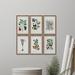 Gracie Oaks 'Plantas Jali Hexaptych' 6 Piece Framed Graphic Art Print Set Paper in Green | 60 H x 60 W x 1.5 D in | Wayfair