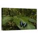 East Urban Home On A Leaf 'Morpho Butterfly Butterfly' - Photograph Print on Canvas in White | 24 H x 36 W x 1.5 D in | Wayfair NNAI6548 39917402