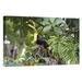 East Urban Home Chestnut-Mandibled Toucan - Photograph Print on Canvas in Green | 20 H x 30 W x 1.5 D in | Wayfair NNAI2336 39913178