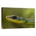 East Urban Home Ecuador Mindo Cloud Forest Ecosystem 'Mountain Sipo Close-Up of Head' - Photograph Print on Canvas in White | Wayfair