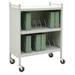 Omnimed Standard Cabinet Style 10 Cap File Cart Metal | 43.75 H x 34.5 W x 17 D in | Wayfair 260110-WG
