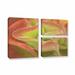 Red Barrel Studio® Kalanchoe Luciae the Beautiful 3 Piece Painting Print on Gallery Wrapped Canvas Set Canvas in Green/Pink | Wayfair