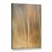 Red Barrel Studio® Trees Ethereal Forest by Ramona Murdock - Print on Canvas Canvas | 12 H x 8 W x 2 D in | Wayfair RDBS5408 33279175