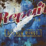 "Broken Wings" by Rodney White Vintage Advertisement on Wrapped Canvas whiteCanvas | 36 H x 36 W x 1.5 D in | Wayfair SC0113636-RW