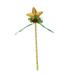 The Holiday Aisle® 12" Gold & Green Candy Cane Lollipop w/ Gold Glittered Star Christmas Ornament in Green/Yellow | 12 H x 3 W x 1 D in | Wayfair