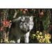 East Urban Home 'Timber Wolf Portrait' Framed Photographic Print on Canvas in Gray/Green | 20 H x 30 W x 1.5 D in | Wayfair URBH5499 38226381