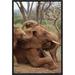 East Urban Home 'African Elephant Baby Orphans Explore Imenti' Framed Photographic Print on Canvas in Brown | 30 H x 20 W x 1.5 D in | Wayfair