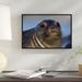 East Urban Home 'Northern Elephant Seal Pup' Framed Photographic Print on Canvas in Gray | 11 H x 16 W x 1.5 D in | Wayfair URBH4703 38223208