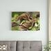 East Urban Home 'Fantastic Leaf-Tail Gecko Mimicking Leaves' Photographic Print on Canvas in White | 24 H x 36 W x 1.5 D in | Wayfair