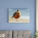 East Urban Home 'Red-Breasted Plover' Photographic Print on Canvas in White | 24 H x 36 W x 1.5 D in | Wayfair URBH8576 38407577