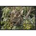 East Urban Home 'Koala Mother & Three Month Old Joey' Framed Photographic Print on Canvas in Brown/Green | 12 H x 18 W x 1.5 D in | Wayfair