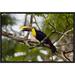East Urban Home 'Chestnut-Mandibled Toucan on Branch' Framed Photographic Print on Canvas in Green | 12 H x 18 W x 1.5 D in | Wayfair