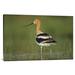 East Urban Home 'American Avocet' Photographic Print on Canvas in White | 24 H x 36 W x 1.5 D in | Wayfair URBH8252 38406375