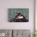 East Urban Home 'Horned Grebe Parent Incubating Eggs on Floating Nest' Photographic Print on Canvas in Brown/Green | 16" H x 24" W x 1.5" D | Wayfair