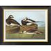Global Gallery Long-Tailed Duck by John James Audubon - Picture Frame Print on Canvas Canvas, Cotton in Black | 21.62 H x 28 W x 1.5 D in | Wayfair