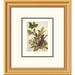 Global Gallery American Robin by John James Audubon Framed Painting Print Paper in Green | 20 H x 18 W x 1.5 D in | Wayfair DPF-132783-0810-102