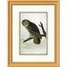 Global Gallery Great Cinereous Owl by John James Audubon Framed Painting Print Paper in Green | 26 H x 20.34 W x 1.5 D in | Wayfair