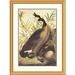 Global Gallery Canada Goose by John James Audubon Framed Painting Print Metal | 40 H x 30 W x 1.5 D in | Wayfair DPF-197768-2030-102