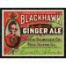 Global Gallery 'Blackhawk Ginger Ale' Framed Vintage Advertisement in Brown | 29 H x 38 W x 1.5 D in | Wayfair GCF-376177-36-299