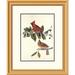 Global Gallery Cardinal Grosbeak by John James Audubon Framed Painting Print Paper | 26 H x 21.36 W x 1.5 D in | Wayfair DPF-198040-16-102