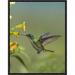 Global Gallery Andean Emerald Hummingbird Feeding on a Flower, Ecuador by Tim Fitzharris Framed Photographic Print on Canvas | Wayfair