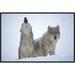 Global Gallery Timber Wolves Close-Up Portrait of Pair Howling in Snow, North America by Tim Fitzharris Framed Photographic Print on Canvas | Wayfair